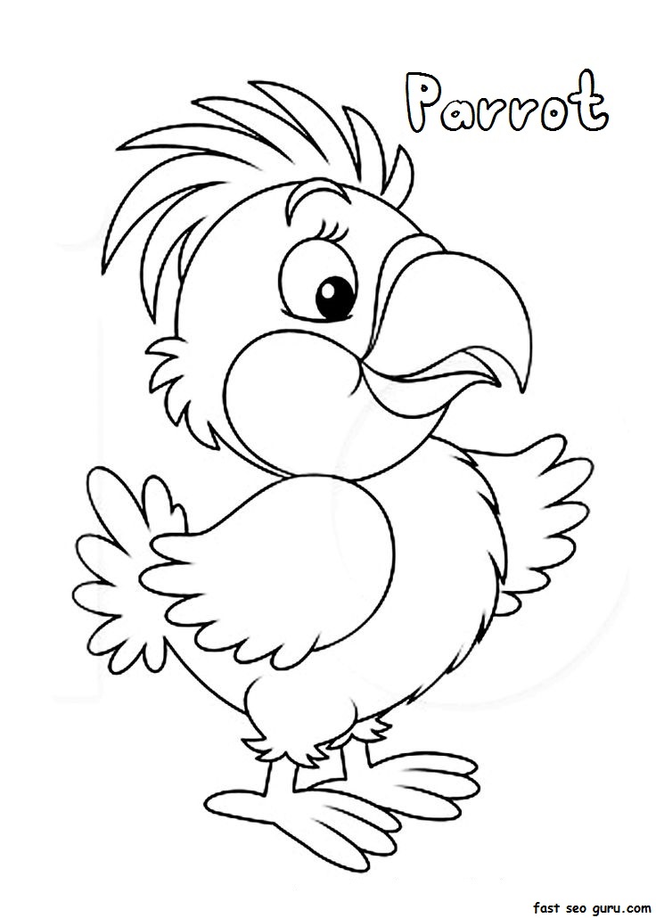 Print out Parrot Coloring Pages